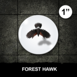 Forest Hawk
